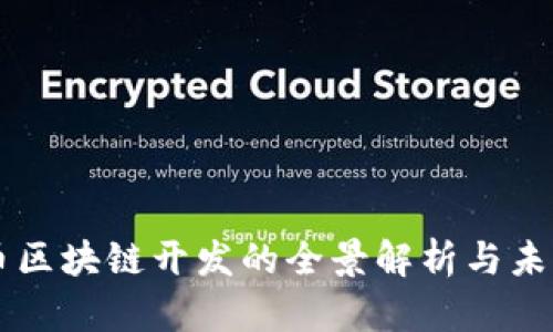 比特币区块链开发的全景解析与未来展望