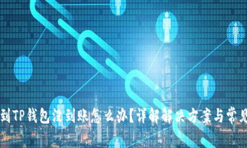 转账到TP钱包没到账怎么办？详解解决方案与常见问题