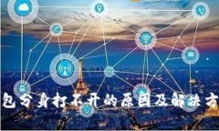 : TP钱包分身打不开的原因及解决方法解析