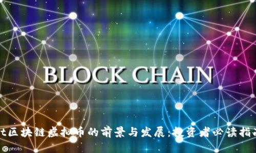 dt区块链虚拟币的前景与发展：投资者必读指南