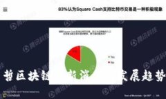 王新哲区块链最新消息与发展趋势分析