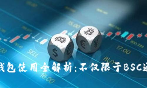 TP钱包使用全解析：不仅限于BSC通道