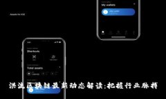 洪流区块链最新动态解读：把握行业脉搏
