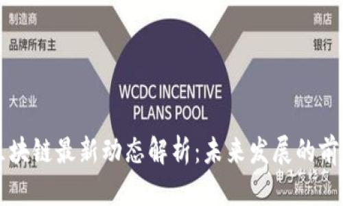 杨海波区块链最新动态解析：未来发展的前景与挑战
