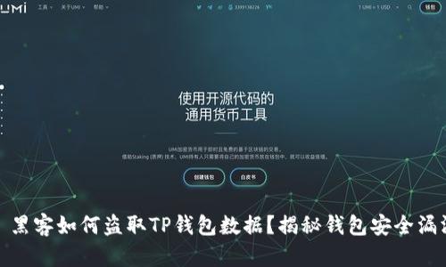 : 黑客如何盗取TP钱包数据？揭秘钱包安全漏洞
