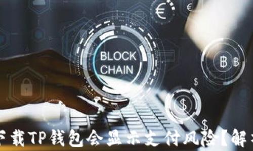 
为什么下载TP钱包会显示支付风险？解析与应对