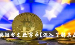 什么是区块链分支数字币？深入了解其原理与应