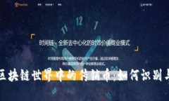揭秘区块链世界中的传销币：如何识别与防范