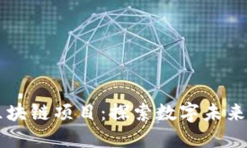 网易最新区块链项目：探索数字未来的无限可能