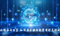 比特币与韭菜：如何在区块链投资中避免踩坑