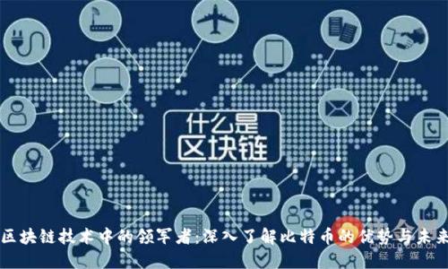 区块链技术中的领军者：深入了解比特币的优势与未来