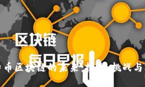 比特币区块链的未来：技术、挑战与机遇