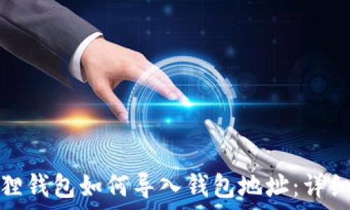   
小狐狸钱包如何导入钱包地址：详细教程