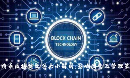 比特币区块链文件大小解析：影响因素及管理策略