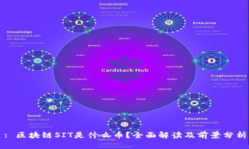 : 区块链SIT是什么币？全面解读及前景分析
