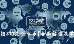 : 区块链SIT是什么币？全面解读及前景分析