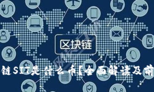 : 区块链SIT是什么币？全面解读及前景分析