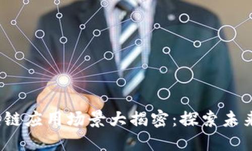 2023年最新区块链应用场景大揭密：探索未来技术的无限可能