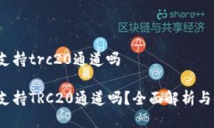 t p钱包支持trc20通道吗t 