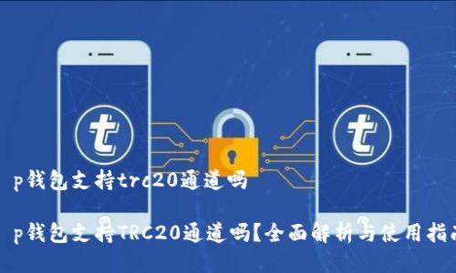 t p钱包支持trc20通道吗

t p钱包支持TRC20通道吗？全面解析与使用指南