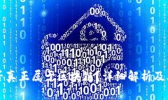 蚂蚁币是否真正属于区块