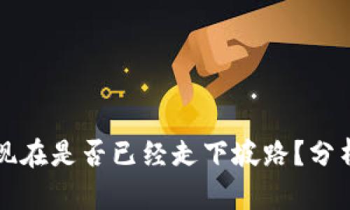 区块链币子现在是否已经走下坡路？分析现状与前景
