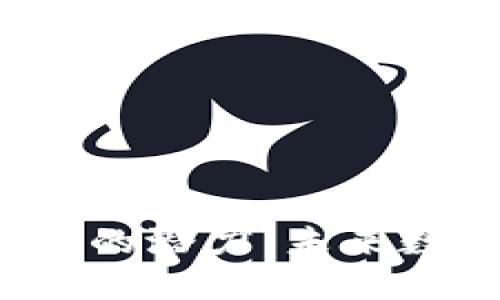 揭示派币Web3区块链的潜力：未来数字经济的希望与挑战