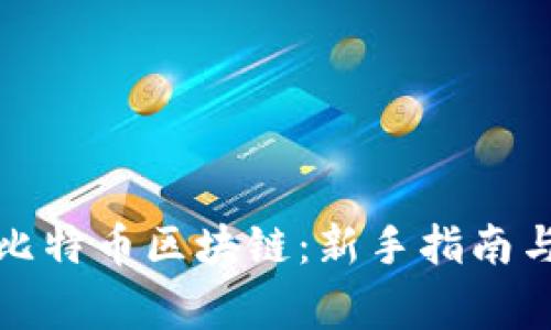 如何快速下载比特币区块链：新手指南与常见问题解答