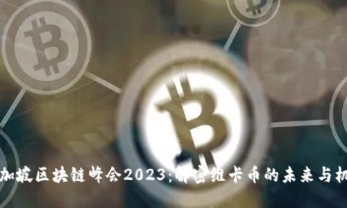 新加坡区块链峰会2023：解密维卡币的未来与机遇