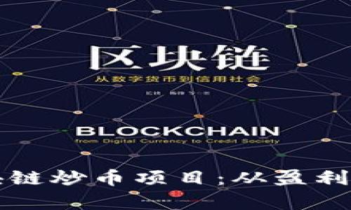 如何选择最佳区块链炒币项目：从盈利到风险的全面解析