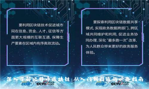 深入了解比特币区块链：从入门到精通的必备指南