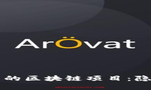 深入了解门罗币的区块链项目：隐私与安全的未来