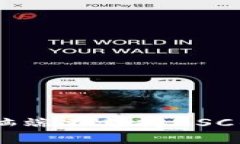 解决t p钱包电脑端不支持