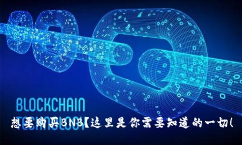 想要购买BNB？这里是你需要知道的一切！