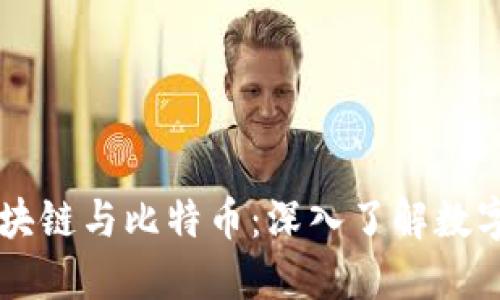 李永乐老师解读区块链与比特币：深入了解数字货币的未来与挑战