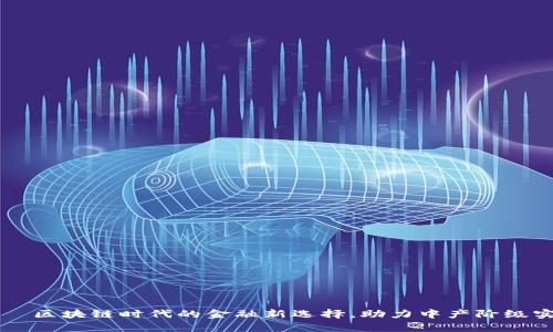 「中产币」——区块链时代的金融新选择，助力中产阶级实现财富增长