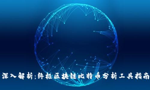 深入解析：终极区块链比特币分析工具指南