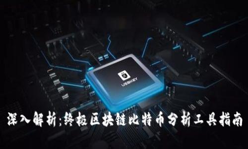 深入解析：终极区块链比特币分析工具指南