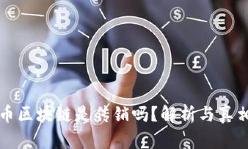 菠萝币区块链是传销吗？解析与真相揭秘