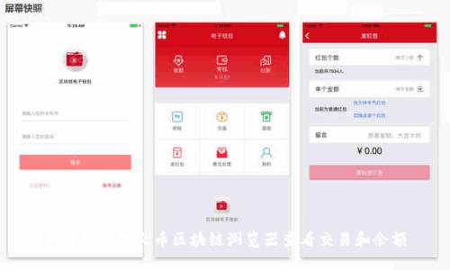 如何使用星火币区块链浏览器查看交易和余额