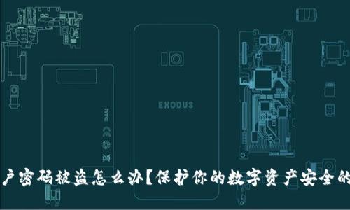 TP钱包账户密码被盗怎么办？保护你的数字资产安全的实用指南