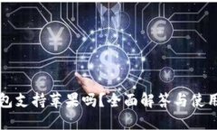 TP钱包支持苹果吗？全面解