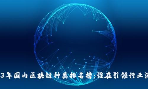 2023年国内区块链种类排名榜：谁在引领行业潮流？