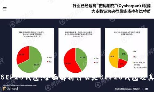 TP上BEP20钱包：全面解析什么是BEP20钱包及其优势