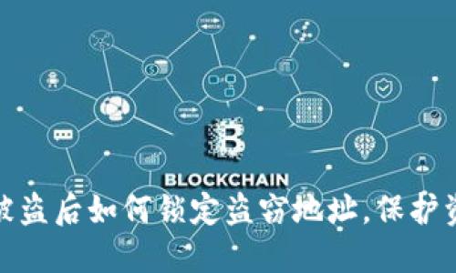 TP钱包被盗后如何锁定盗窃地址，保护资产安全