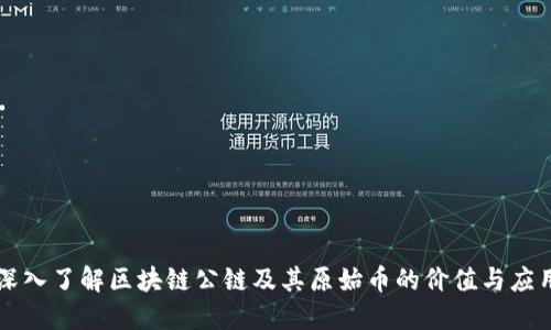 深入了解区块链公链及其原始币的价值与应用