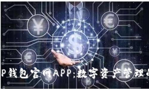 :  
全面解读TP钱包官网APP：数字资产管理的必备神器