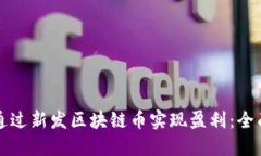 如何通过新发区块链币实