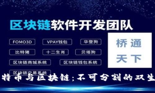比特币与区块链：不可分割的双生子