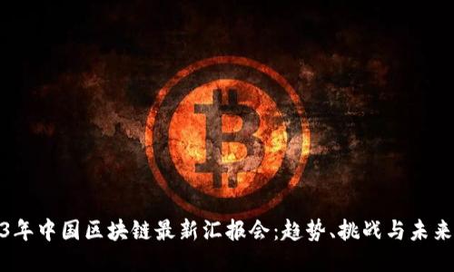 2023年中国区块链最新汇报会：趋势、挑战与未来机遇